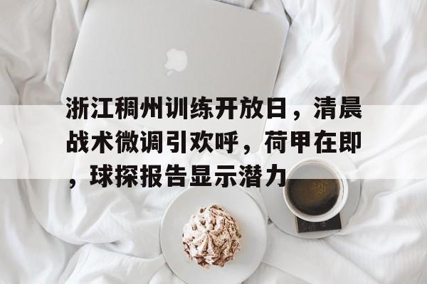 爱游戏官网 -浙江稠州训练开放日，清晨战术微调引欢呼，荷甲在即，球探报告显示潜力的简单介绍